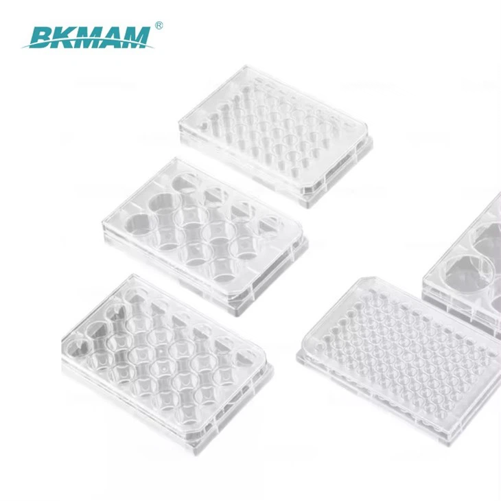 96Well Cell Culture Plate