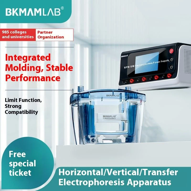 Horizontal Electrophoresis System price