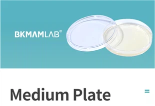 Meio de cultura para uso em laboratório Tryptone Soy AGAR (pacote triplo) Placa TSA AGAR Placa média de ágar nutriente de 9 cm